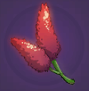 Roostercomb Stalk
